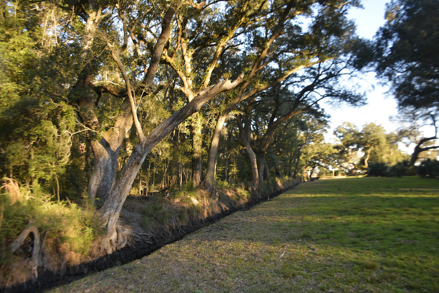 1199 Framptons Inlet Road Edisto Island, SC 29438 - Photo 27 of 69 _DSC7207