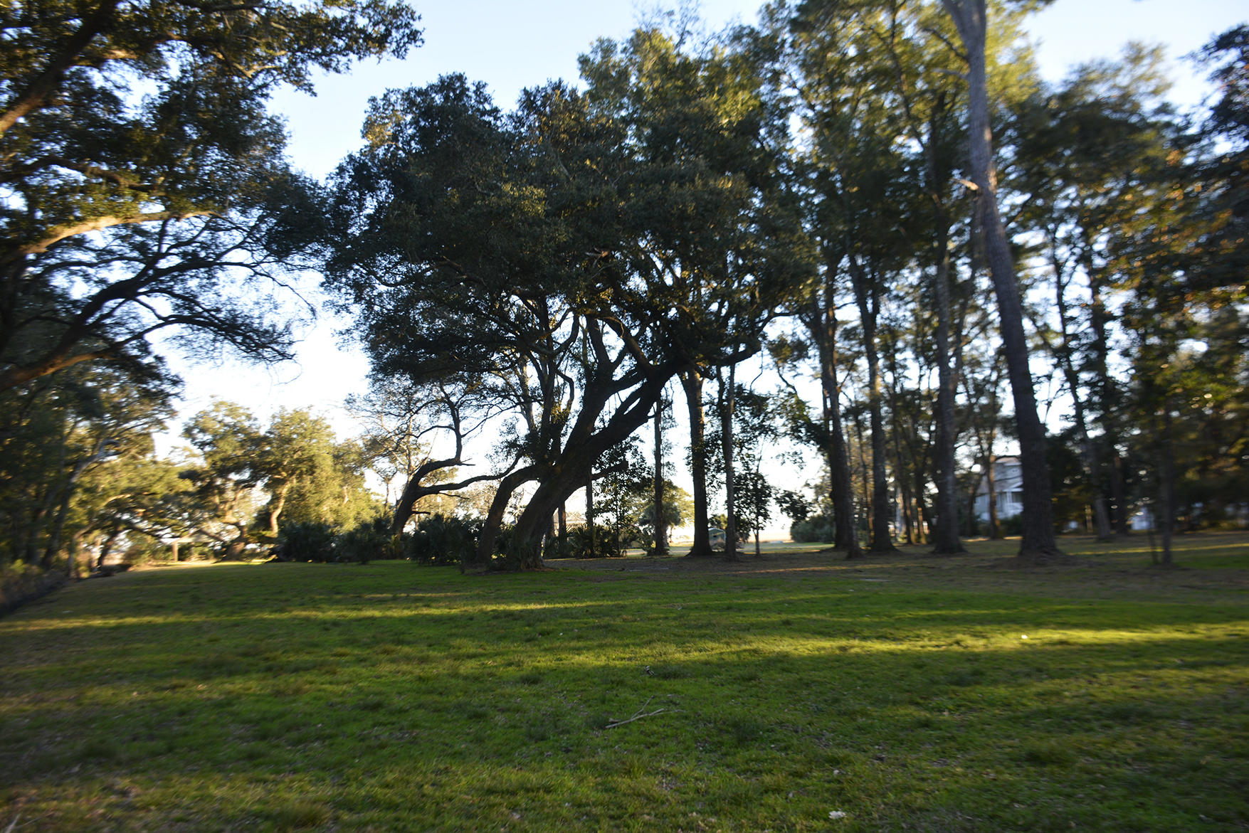 1199 Framptons Inlet Road Edisto Island, SC 29438 - Photo 28 of 69 _DSC7208