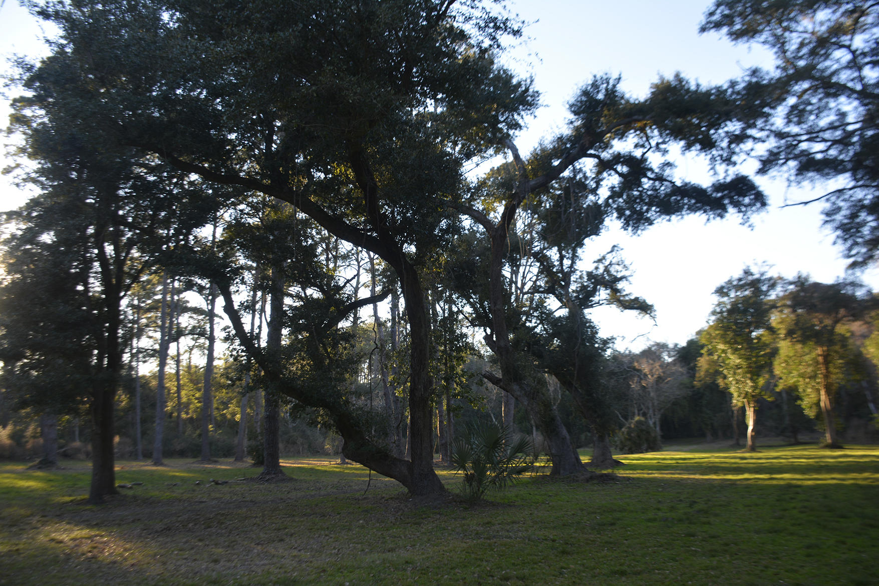 1199 Framptons Inlet Road Edisto Island, SC 29438 - Photo 29 of 69 _DSC7209