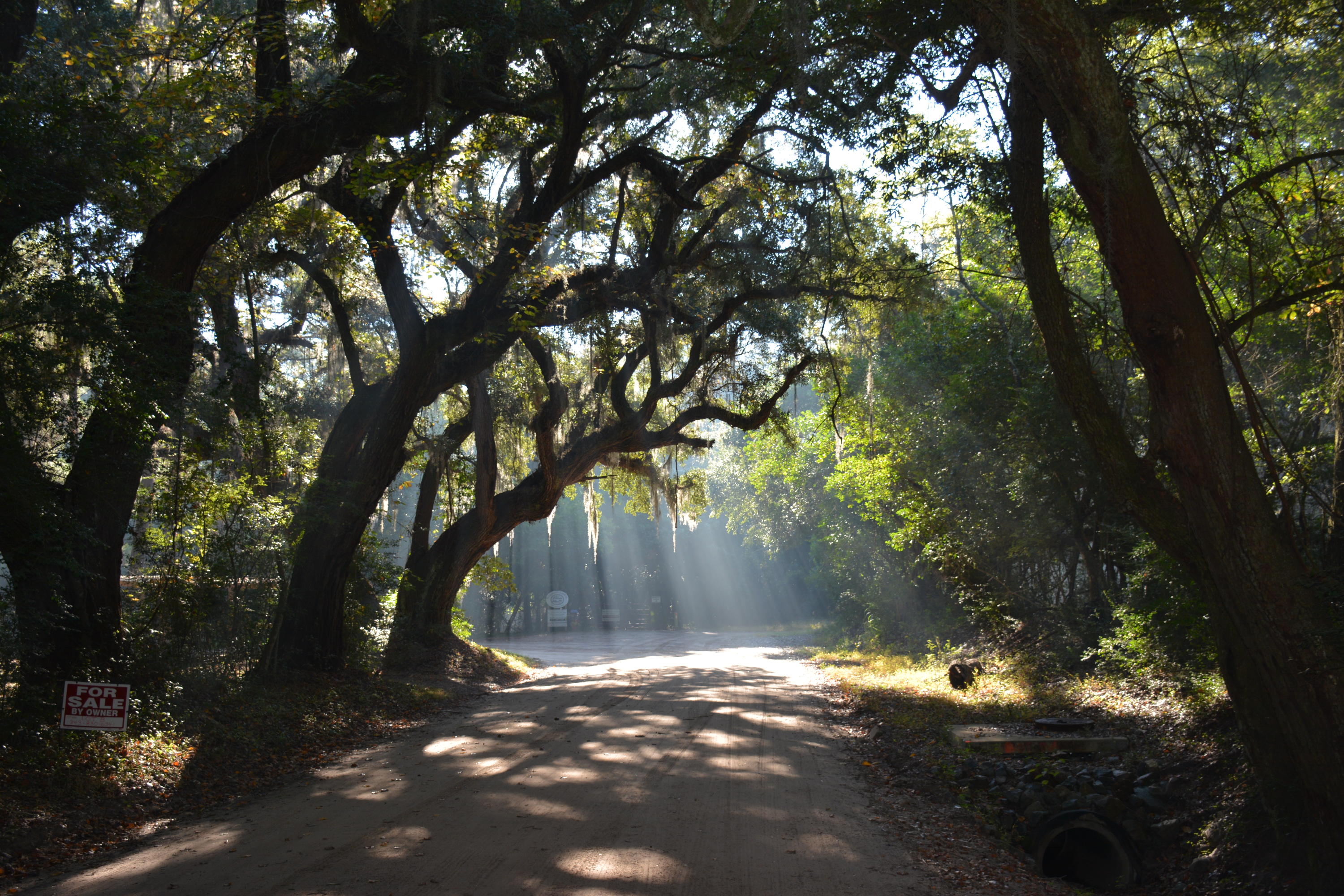 1199 Framptons Inlet Road Edisto Island, SC 29438 - Photo 4 of 69 DSC_0136