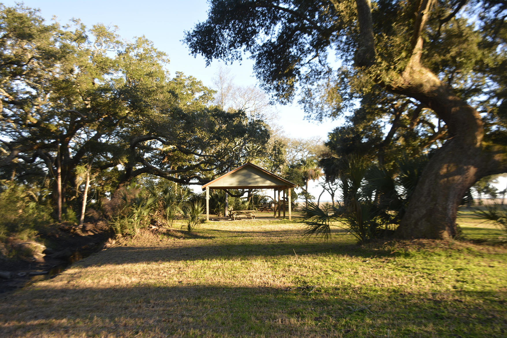 1199 Framptons Inlet Road Edisto Island, SC 29438 - Photo 32 of 69 _DSC7212