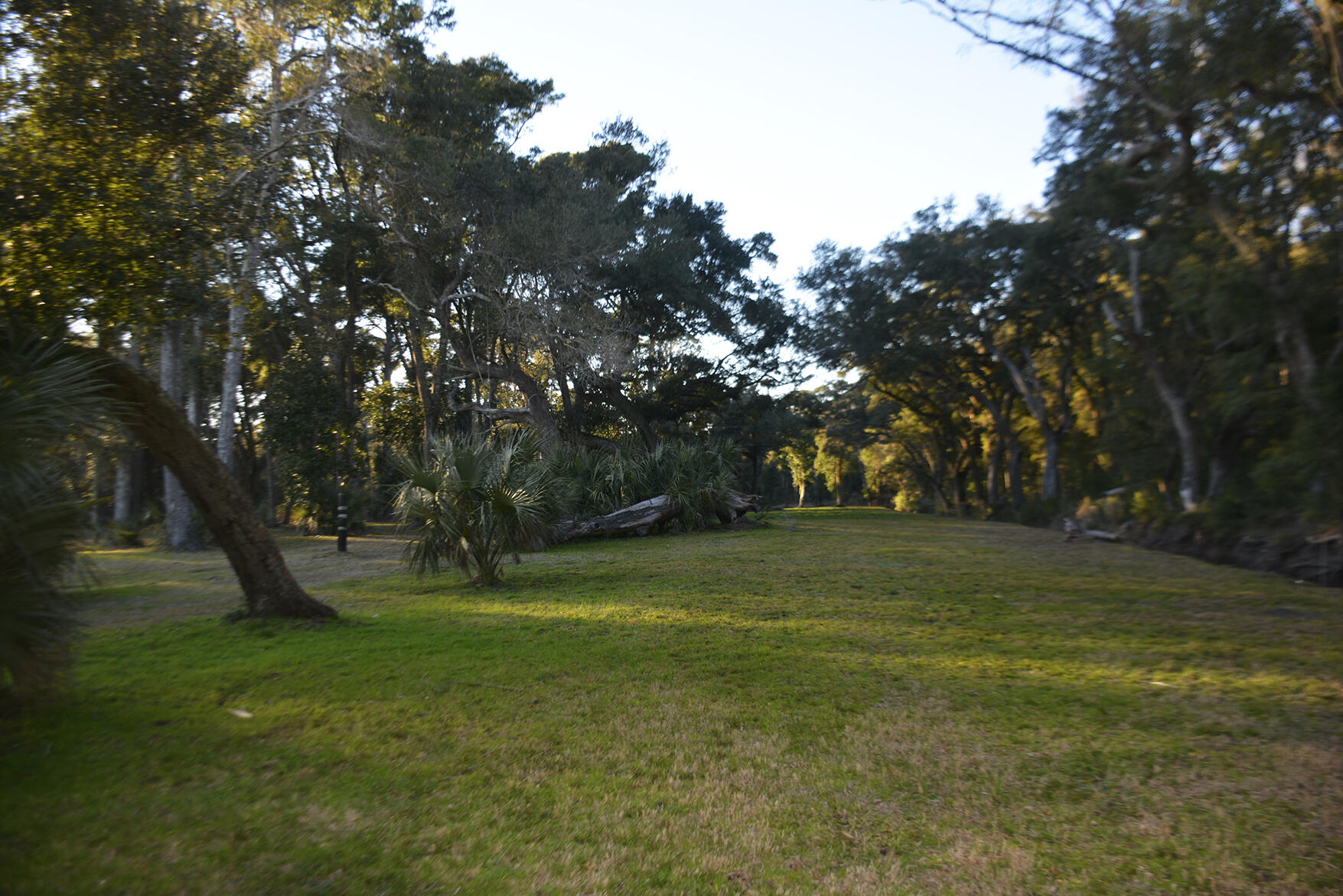 1199 Framptons Inlet Road Edisto Island, SC 29438 - Photo 33 of 69 _DSC7213