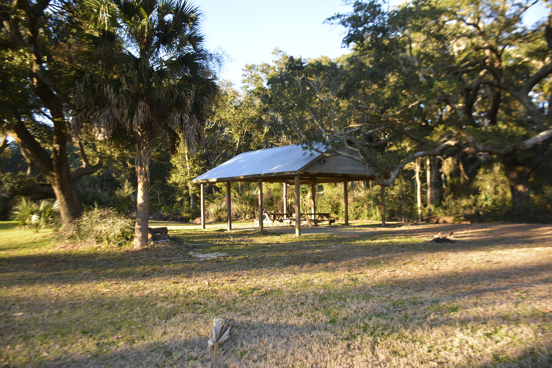 1199 Framptons Inlet Road Edisto Island, SC 29438 - Photo 34 of 69 _DSC7214