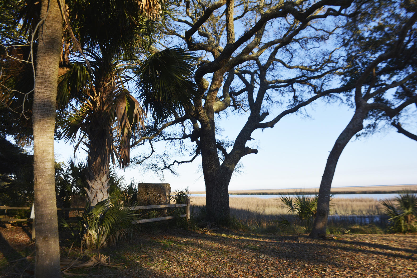 1199 Framptons Inlet Road Edisto Island, SC 29438 - Photo 38 of 69 _DSC7219