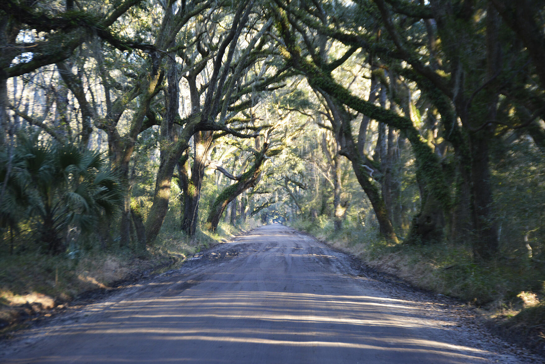 1199 Framptons Inlet Road Edisto Island, SC 29438 - Photo 5 of 69 _DSC7196