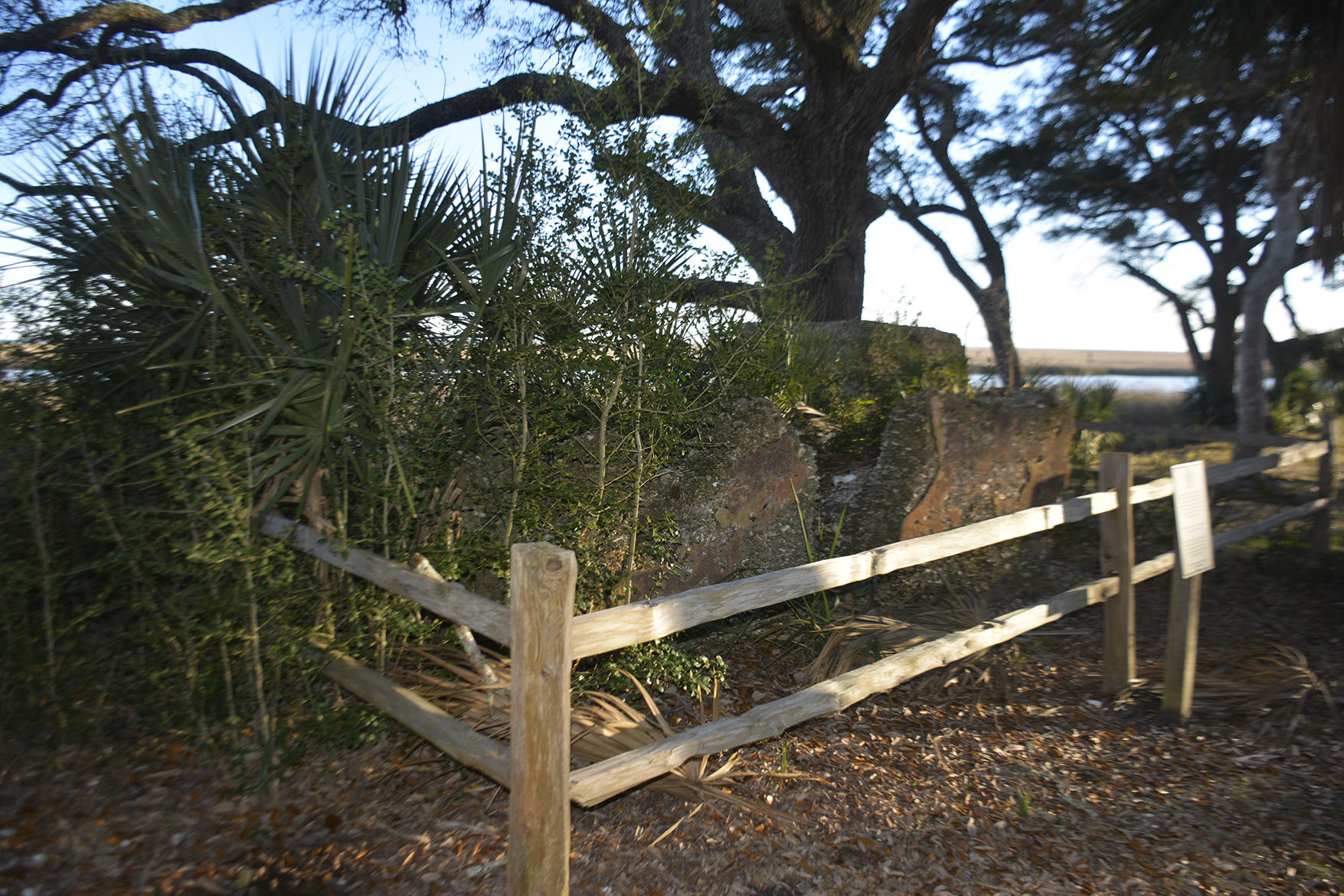 1199 Framptons Inlet Road Edisto Island, SC 29438 - Photo 42 of 69 _DSC7223