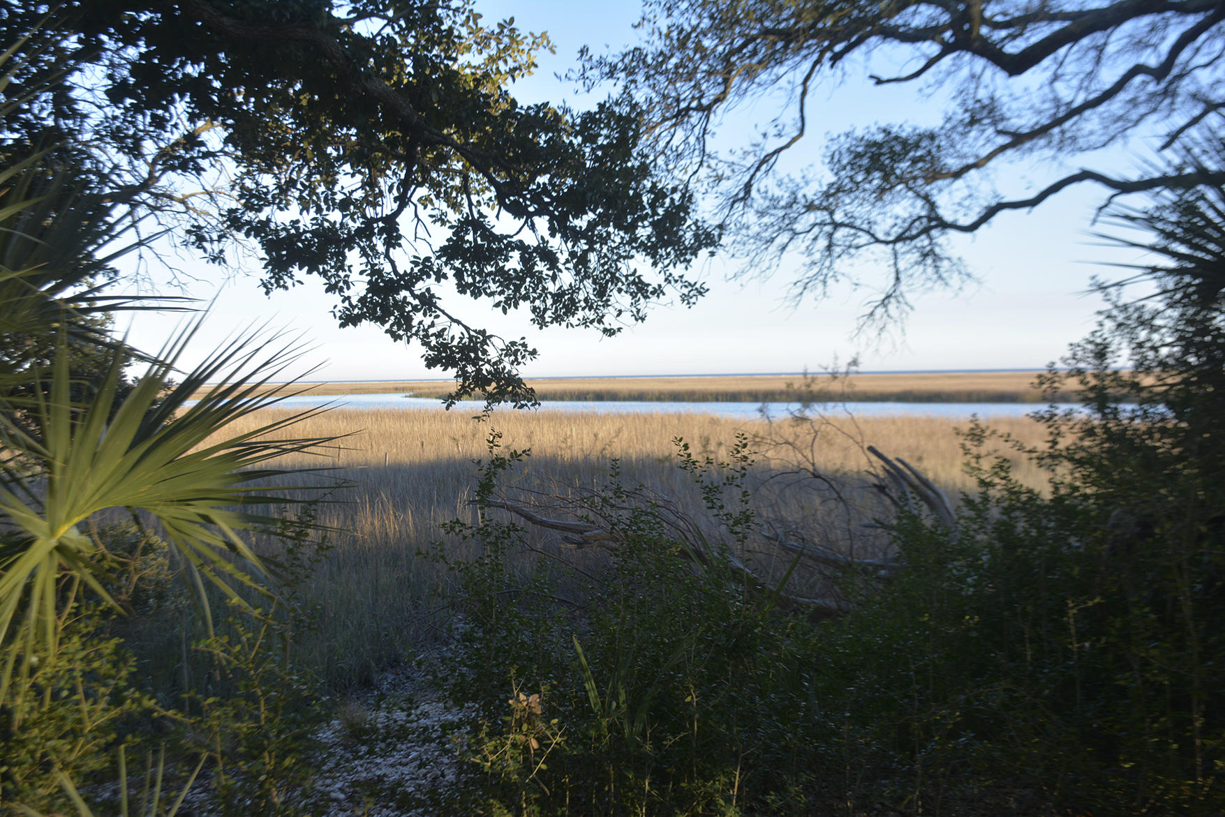 1199 Framptons Inlet Road Edisto Island, SC 29438 - Photo 43 of 69 _DSC7224
