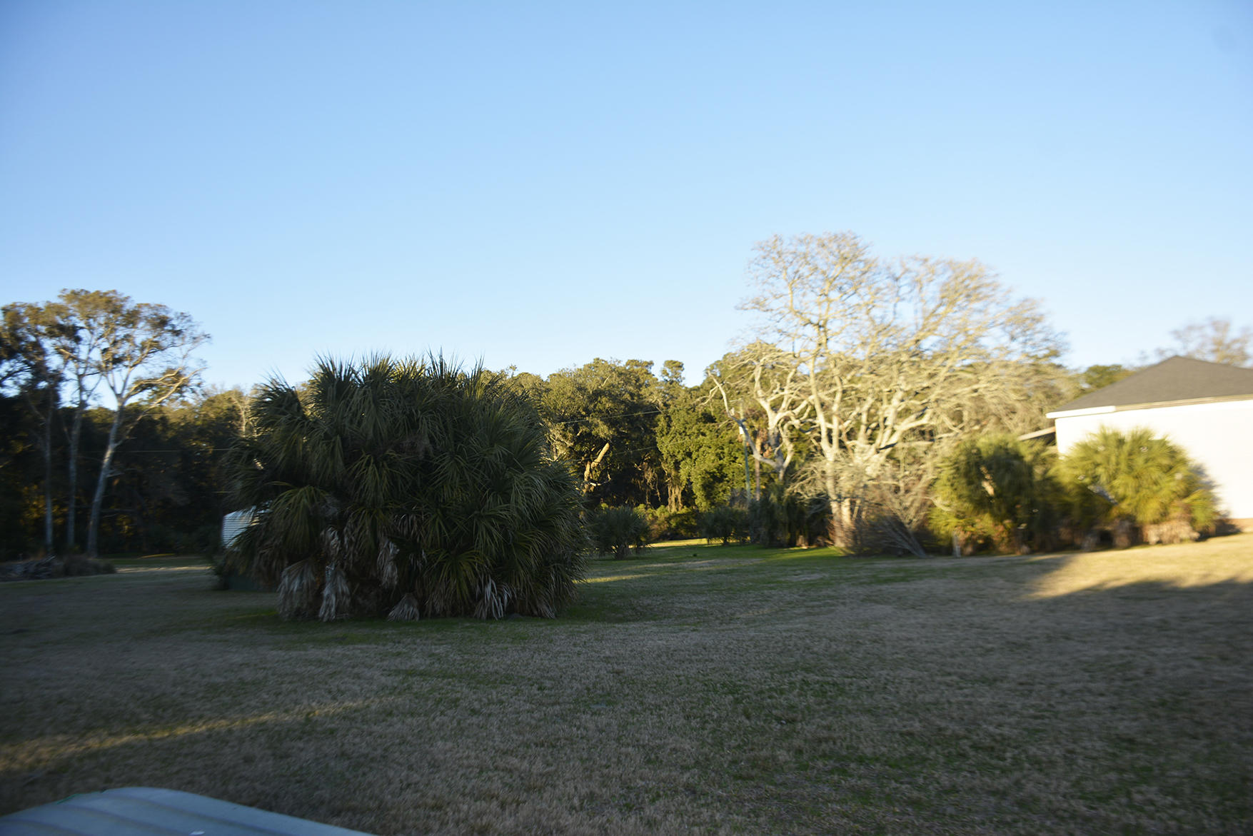 1199 Framptons Inlet Road Edisto Island, SC 29438 - Photo 47 of 69 _DSC7237