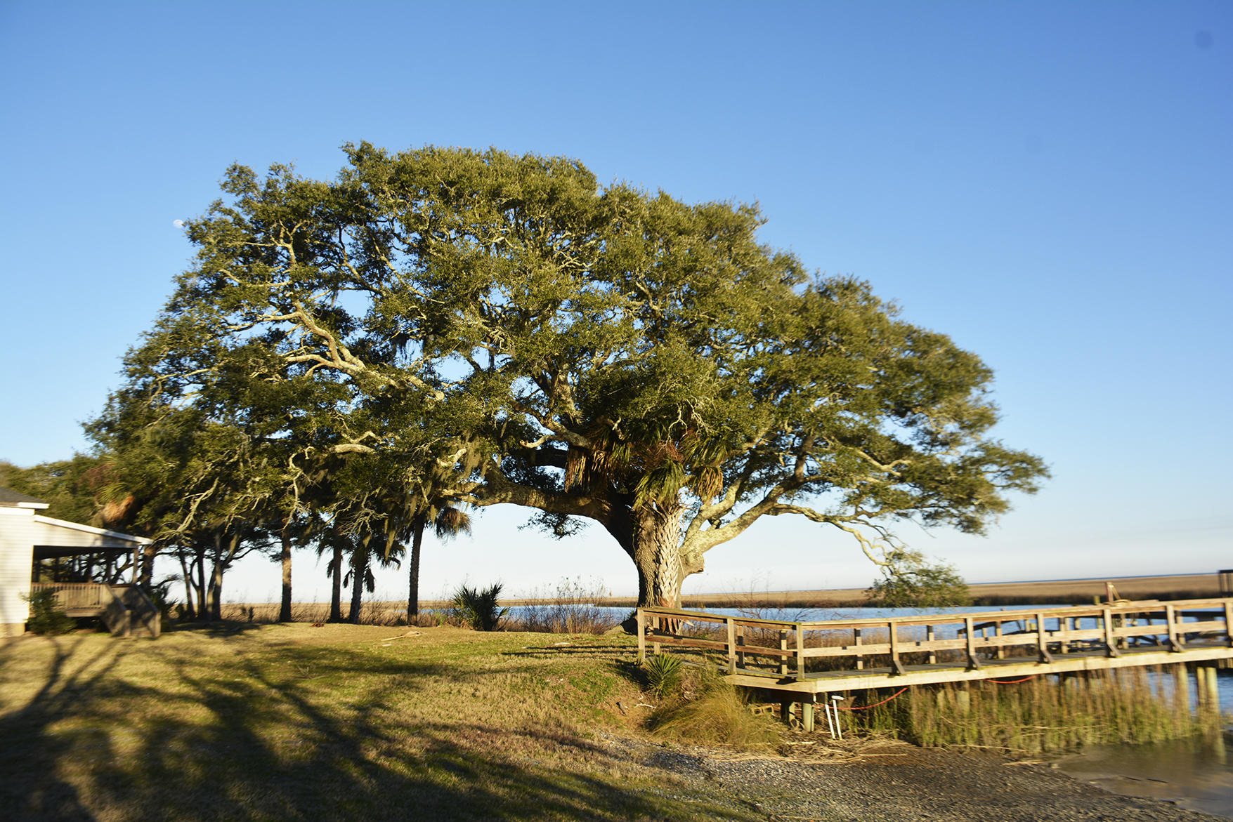 1199 Framptons Inlet Road Edisto Island, SC 29438 - Photo 48 of 69 _DSC7238