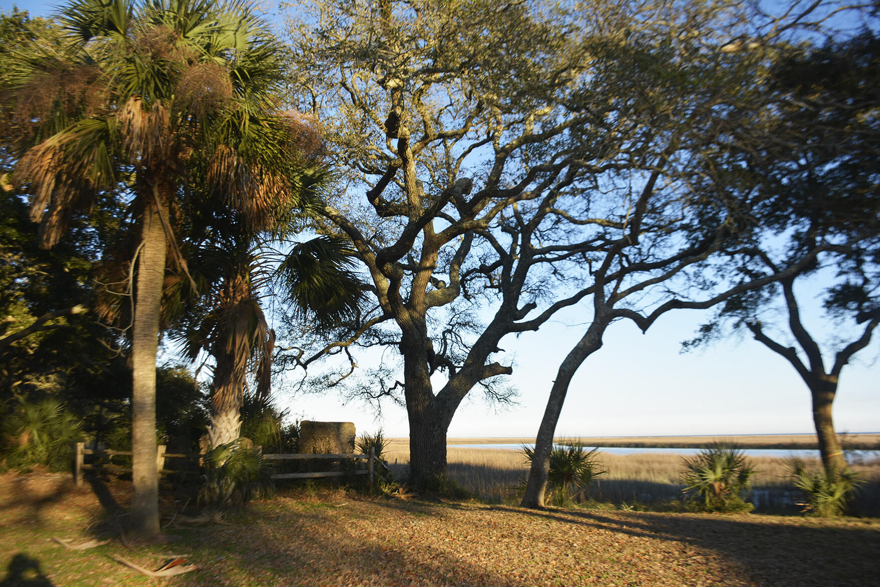 1199 Framptons Inlet Road Edisto Island, SC 29438 - Photo 49 of 69 _DSC7241