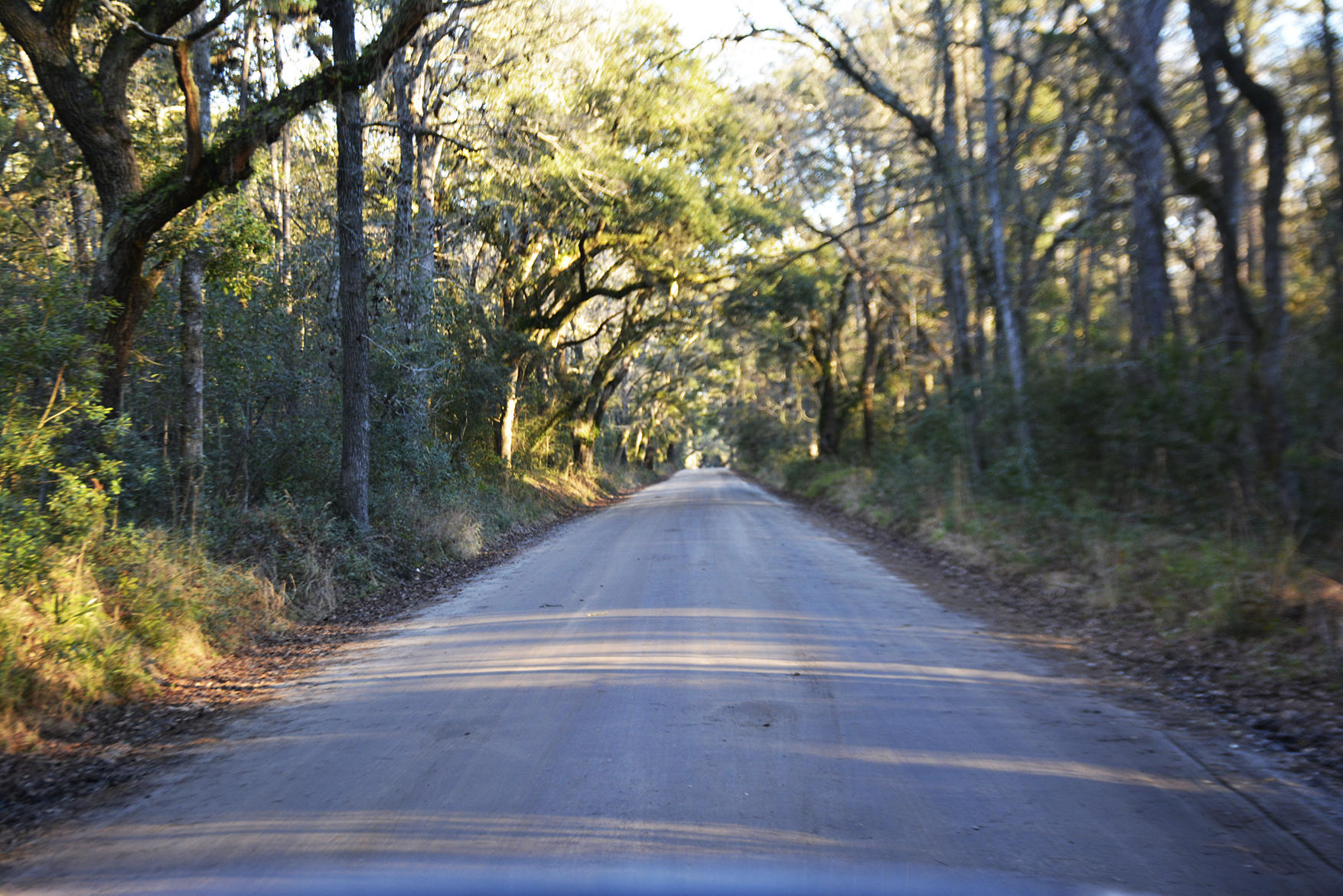1199 Framptons Inlet Road Edisto Island, SC 29438 - Photo 6 of 69 _DSC7194