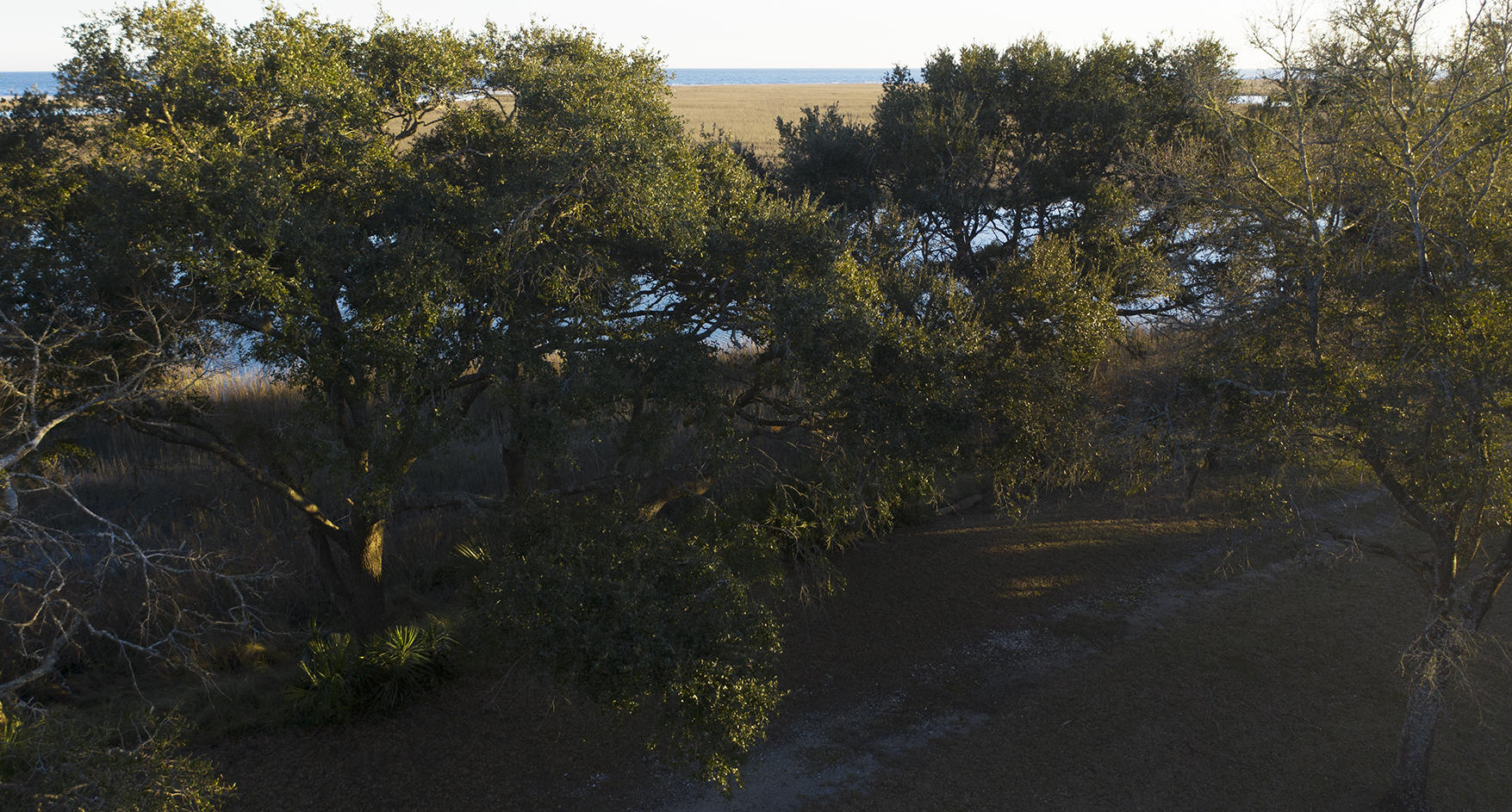 1199 Framptons Inlet Road Edisto Island, SC 29438 - Photo 68 of 69 DJI_0643
