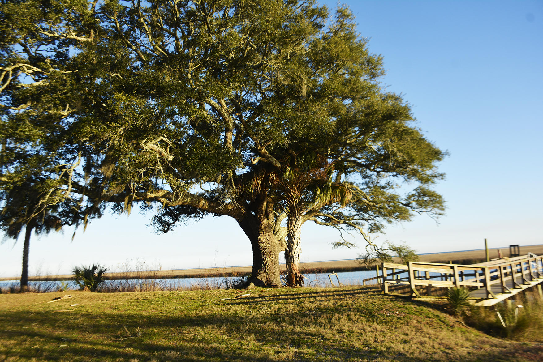 1199 Framptons Inlet Road Edisto Island, SC 29438 - Photo 9 of 69 _DSC7233