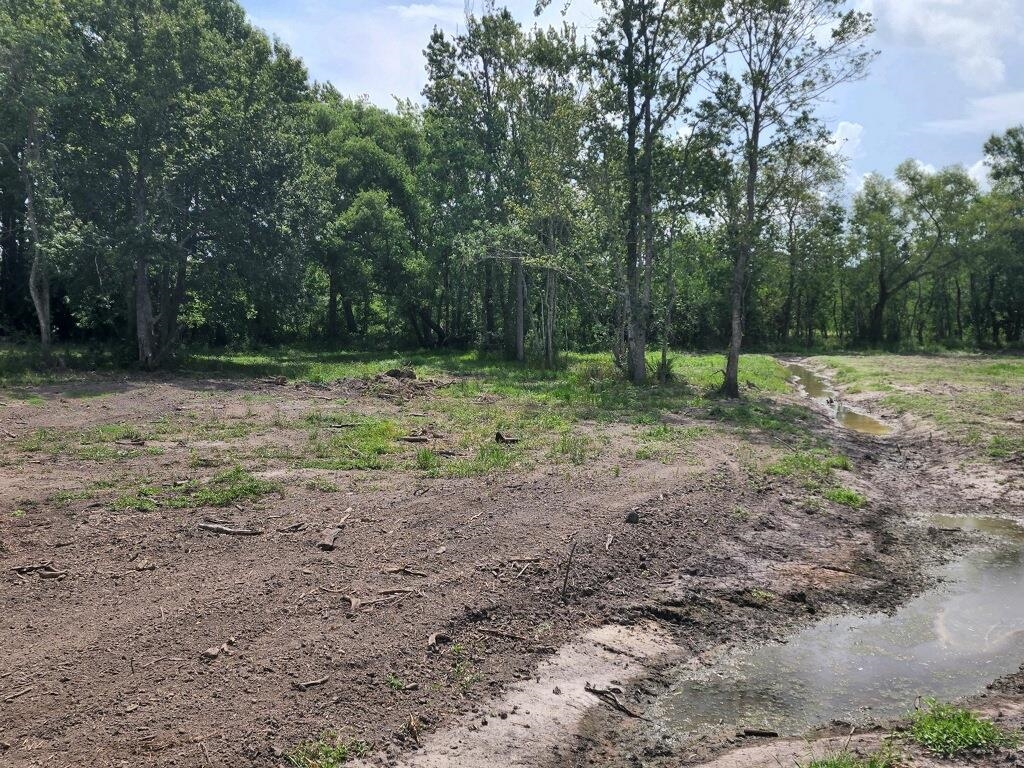 15546 Sour Lake Road Beaumont, TX 77713 - Photo 26 of 35