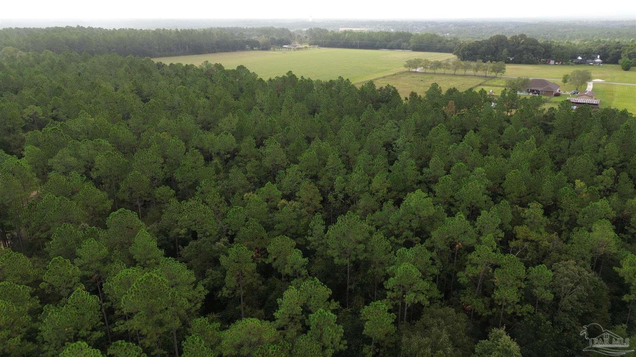 1 Wallace Lake Road Pace, FL 32571 - Photo 3 of 5 an aerial view of green landscape with trees houses and lake view