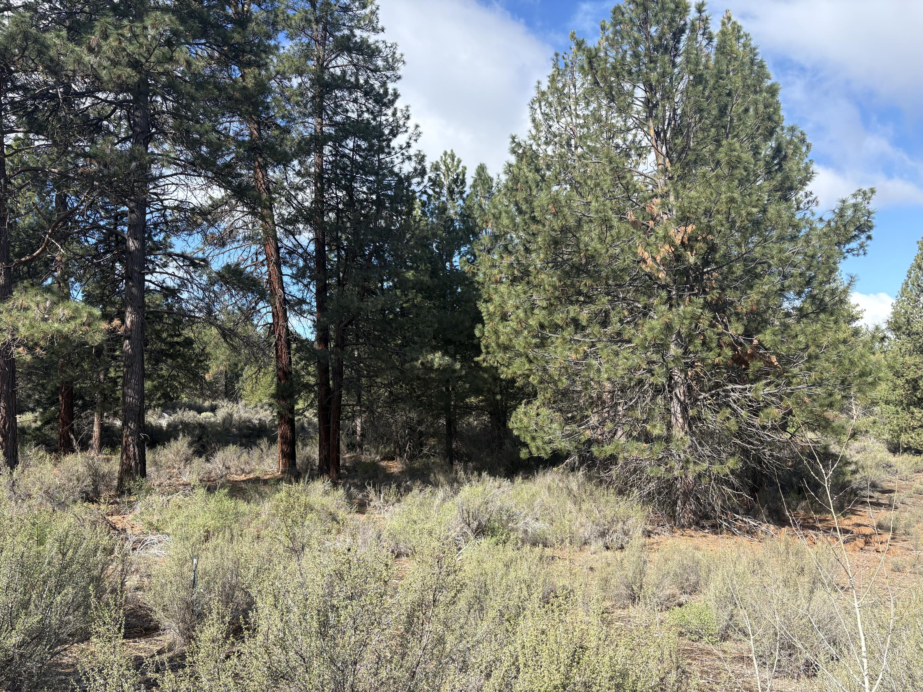 0 Pine Ridge Loop, Unit LOT 5 Chiloquin, OR 97624 - Photo 7 of 8 Lot