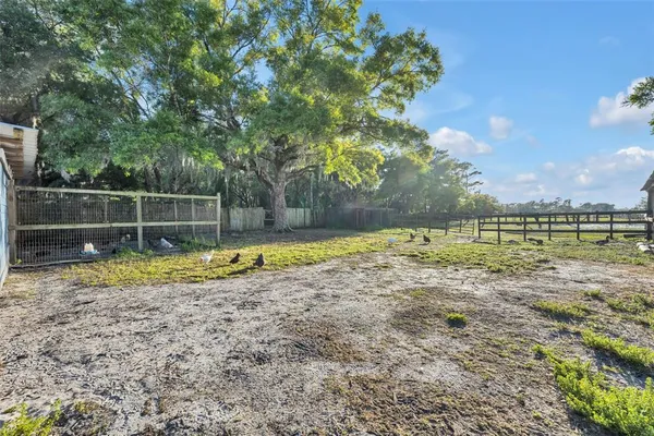 a view of a backyard with a large tree