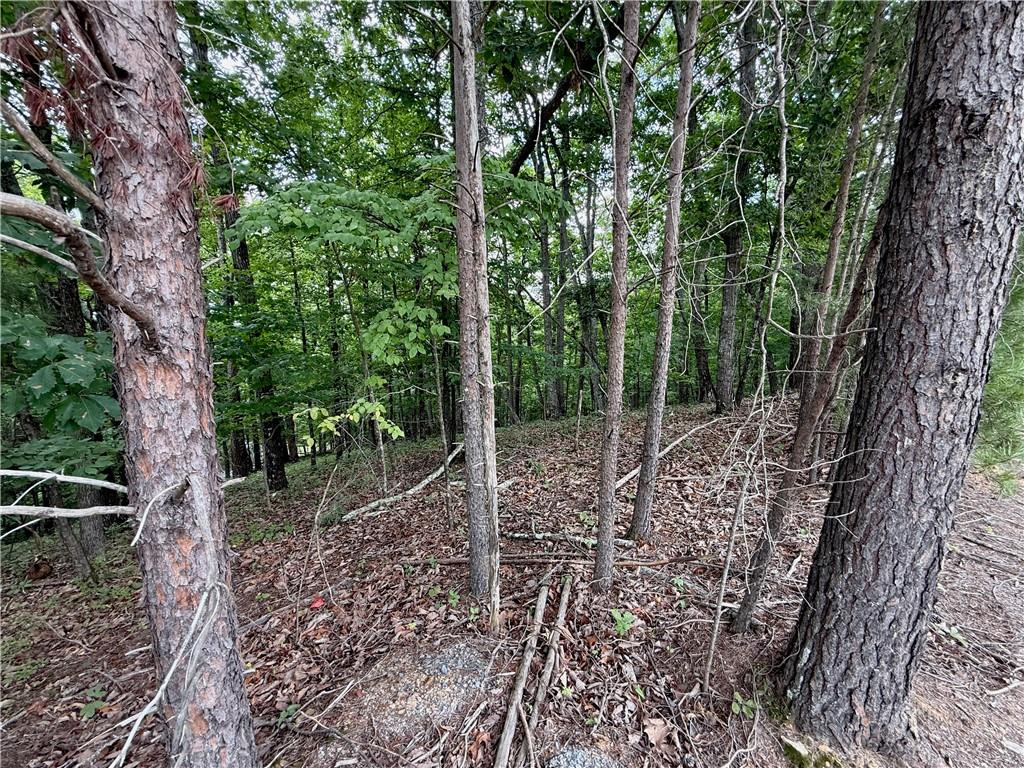 Lot 7 Stirratt Road Ranger, GA 30734 - Photo 12 of 20 Gallery Image 12