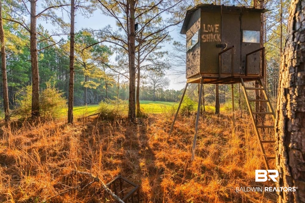 0 Private Road Millry, AL 36558 - Photo 4 of 50