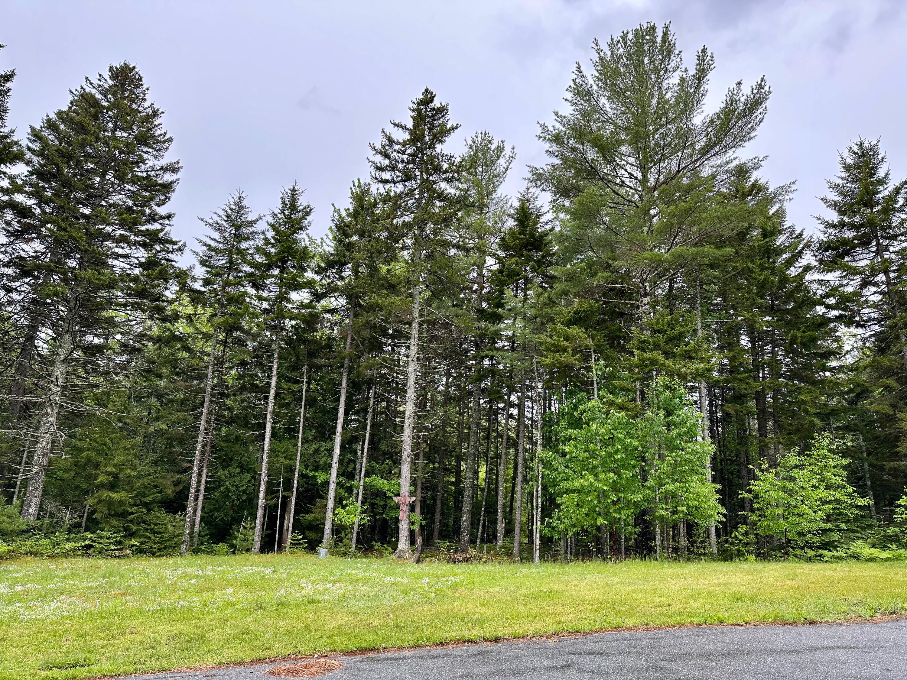 441 Morgan Bay Road Surry, ME 04684 - Photo 61 of 67 IMG_4559