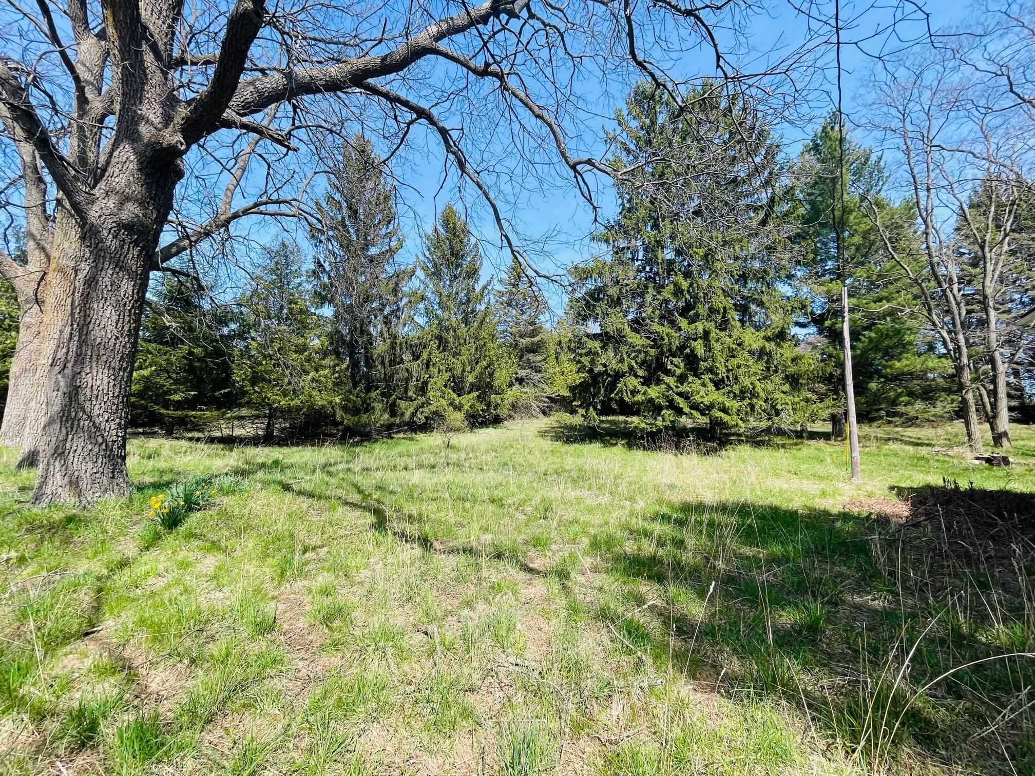 6384 Farrell Road Central Lake, MI 49622 - Photo 6 of 17 1921668-a058dd9a-982a-4117-a211-20a00e24f2ba.JPG