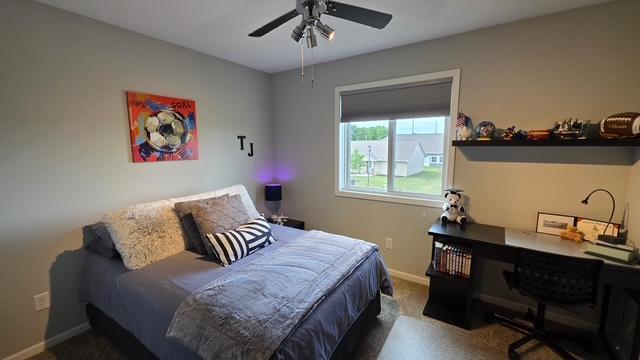 1005 Main Street Cleveland, MN 56017 - Photo 22 of 29 Gallery Image 22