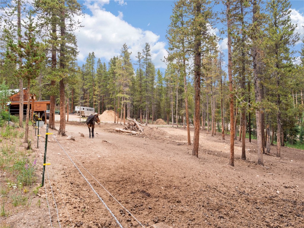 342 Skidoo Road Fairplay, CO 80440 - Photo 23 of 27 Gallery Image 23