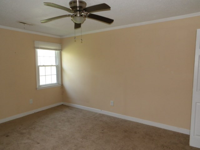 6440 Dinkins Mill Road Rembert, SC 29128 - Photo 21 of 38
