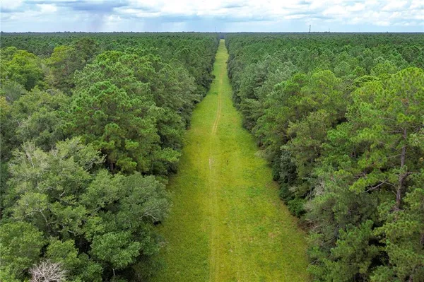 $139,500 | 8.73-acres Wonie Cousin Road, Lacombe, LA 70445