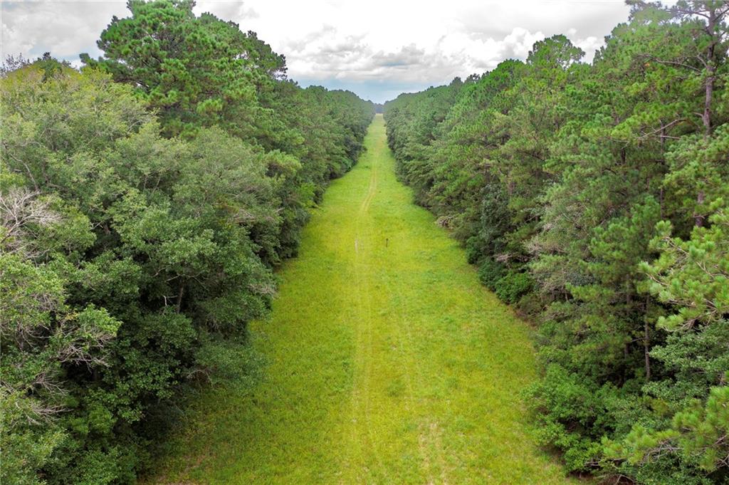 8.73-acres Wonie Cousin Road Lacombe, LA 70445 - Photo 3 of 13