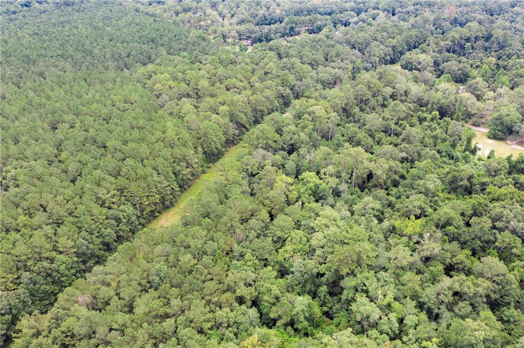 8.73-acres Wonie Cousin Road Lacombe, LA 70445 - Photo 6 of 13