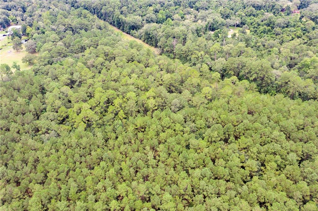 8.73-acres Wonie Cousin Road Lacombe, LA 70445 - Photo 8 of 13