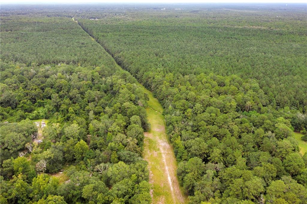 8.73-acres Wonie Cousin Road Lacombe, LA 70445 - Photo 10 of 13