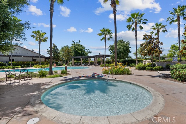 29350 Las Brisas Road Valencia, CA 91354 - Photo 48 of 56