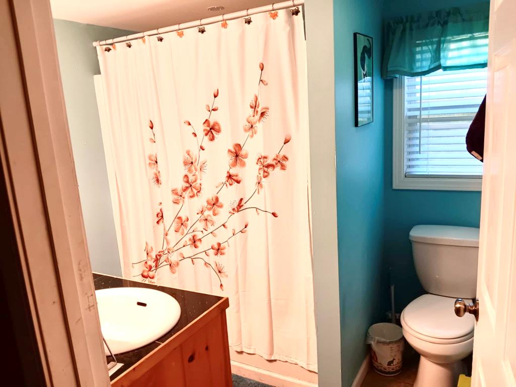 65 Black Oak Ridge Blue Ridge, GA 30513 - Photo 27 of 43