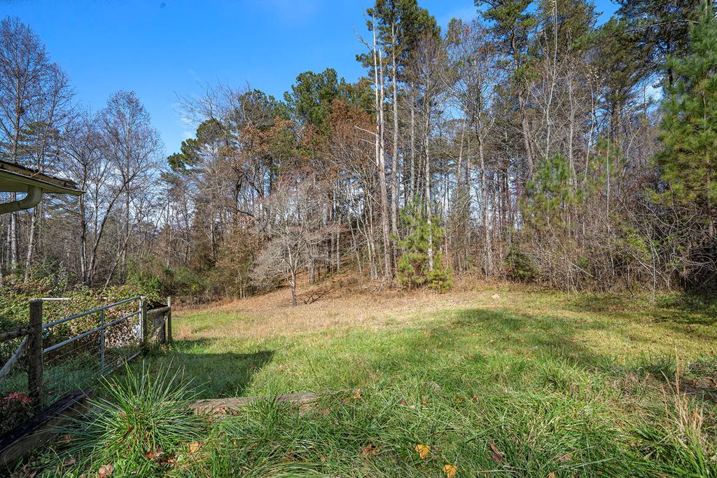 65 Black Oak Ridge Blue Ridge, GA 30513 - Photo 31 of 43