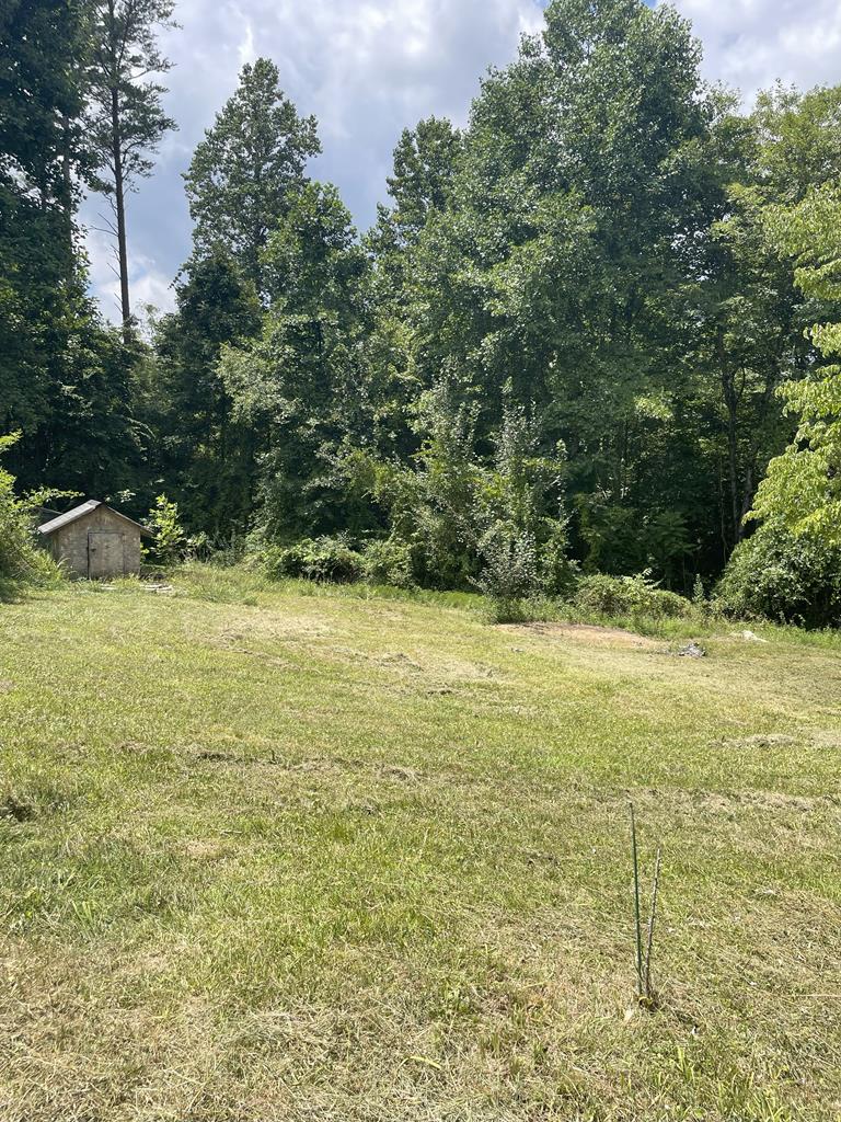 65 Black Oak Ridge Blue Ridge, GA 30513 - Photo 35 of 43