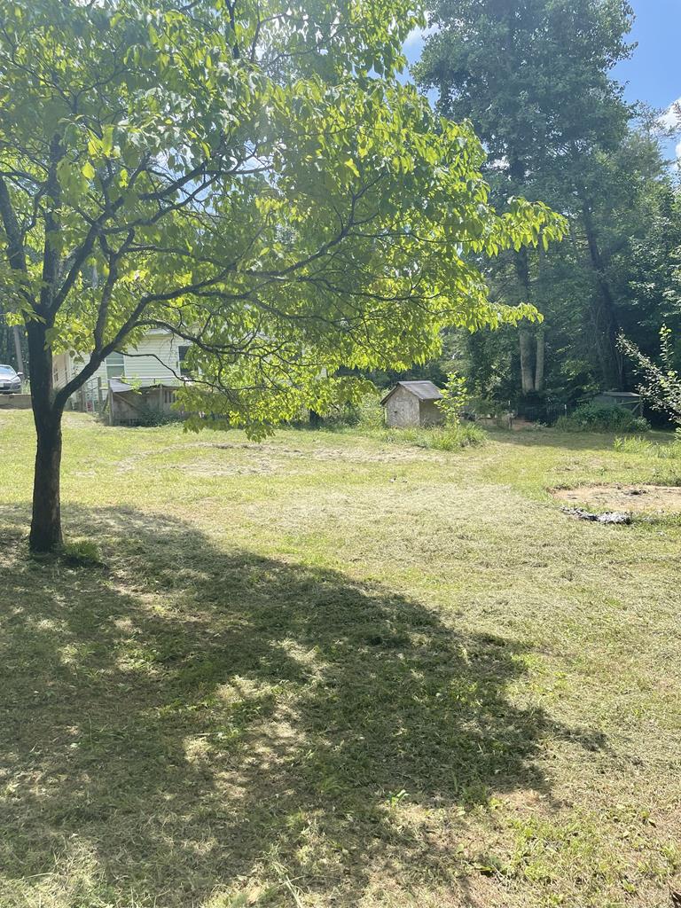 65 Black Oak Ridge Blue Ridge, GA 30513 - Photo 36 of 43