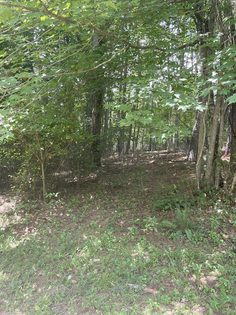 65 Black Oak Ridge Blue Ridge, GA 30513 - Photo 37 of 43