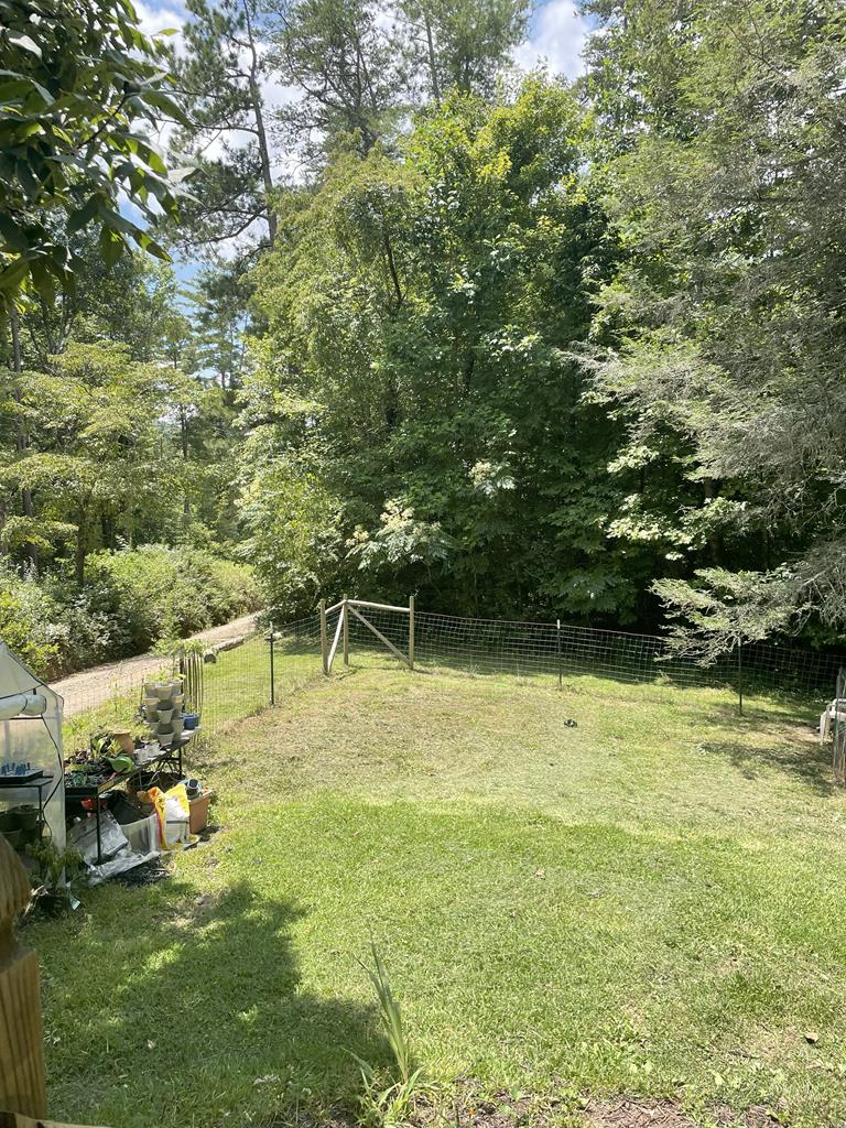 65 Black Oak Ridge Blue Ridge, GA 30513 - Photo 38 of 43