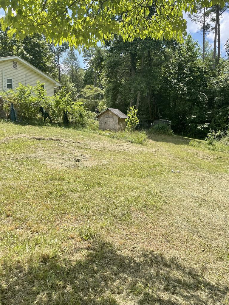 65 Black Oak Ridge Blue Ridge, GA 30513 - Photo 39 of 43