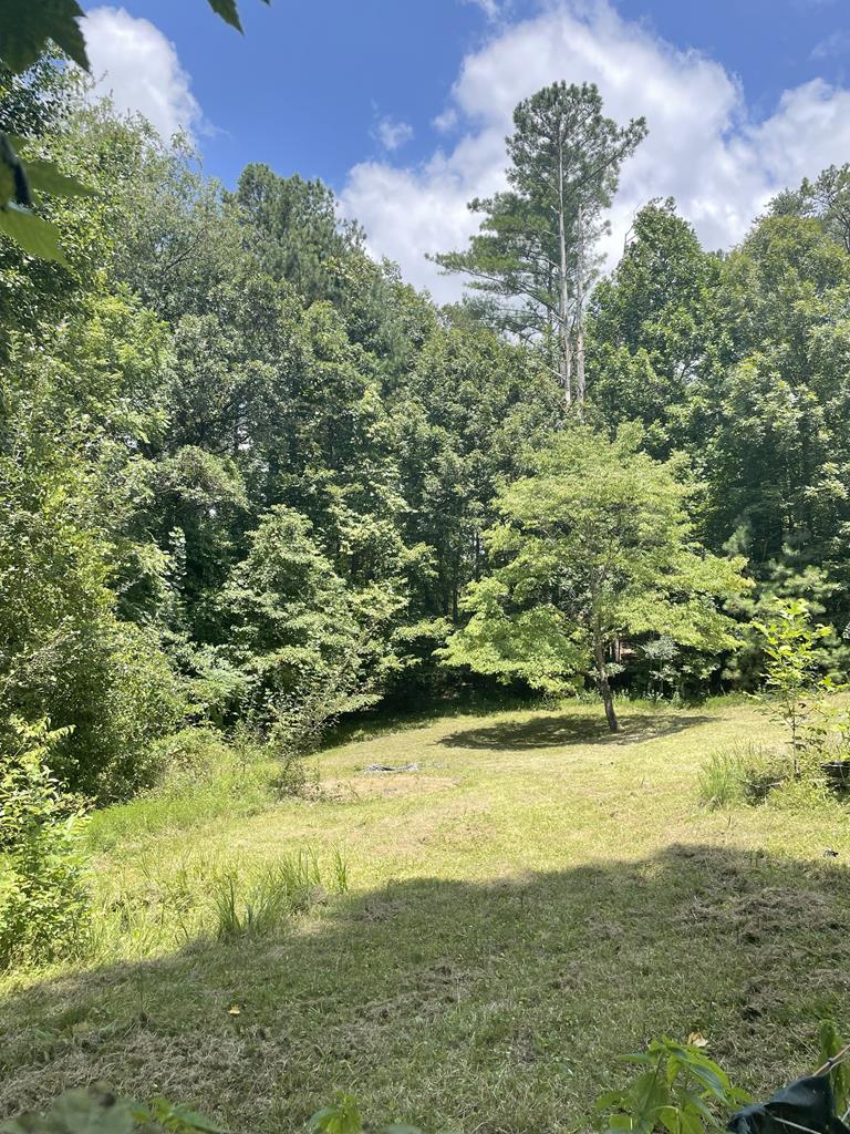 65 Black Oak Ridge Blue Ridge, GA 30513 - Photo 40 of 43