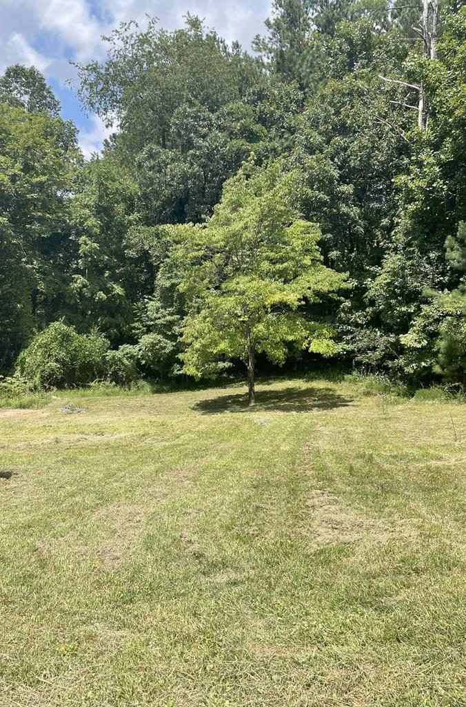 65 Black Oak Ridge Blue Ridge, GA 30513 - Photo 41 of 43