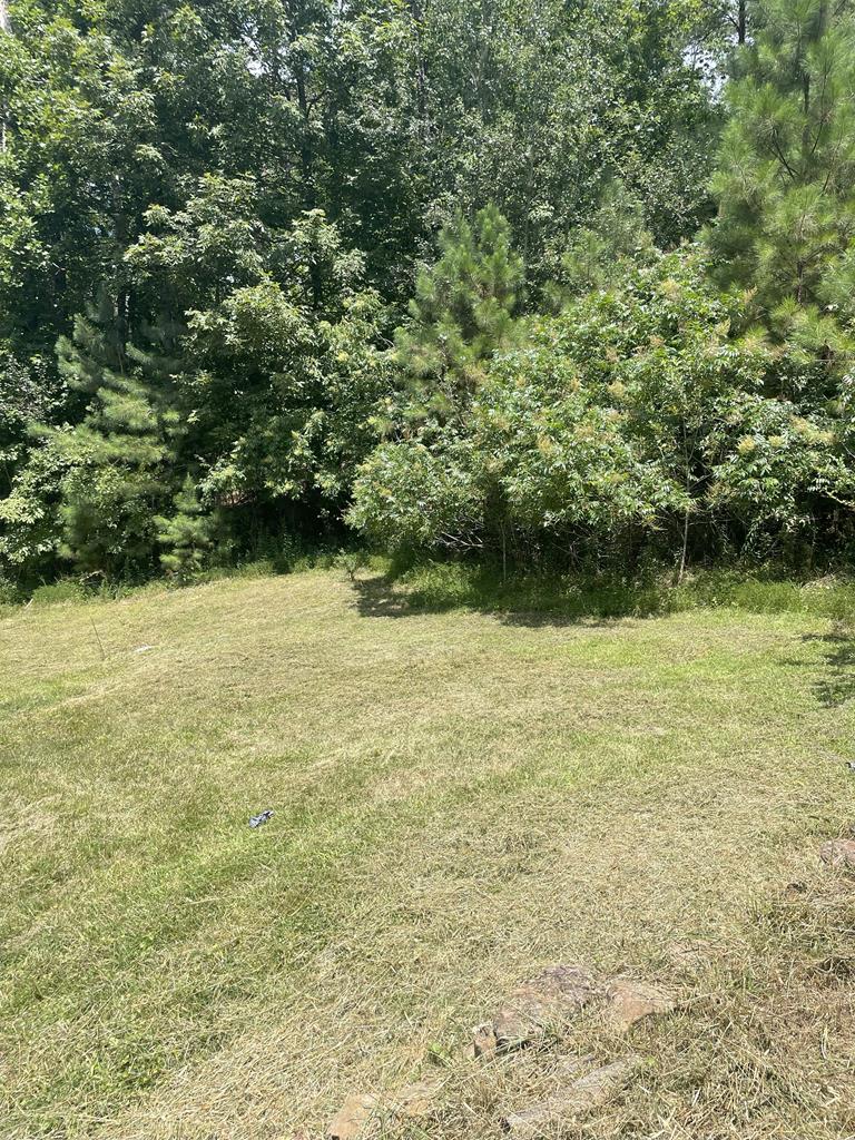 65 Black Oak Ridge Blue Ridge, GA 30513 - Photo 42 of 43