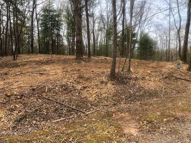 14 Hap Holt Road Ellijay, GA 30540 - Photo 1 of 1