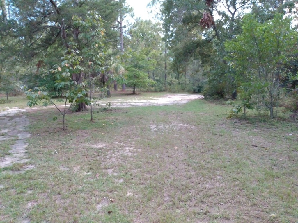 567 Cedar Road Aiken, SC 29803 - Photo 23 of 25 a view of a forest with trees in the background