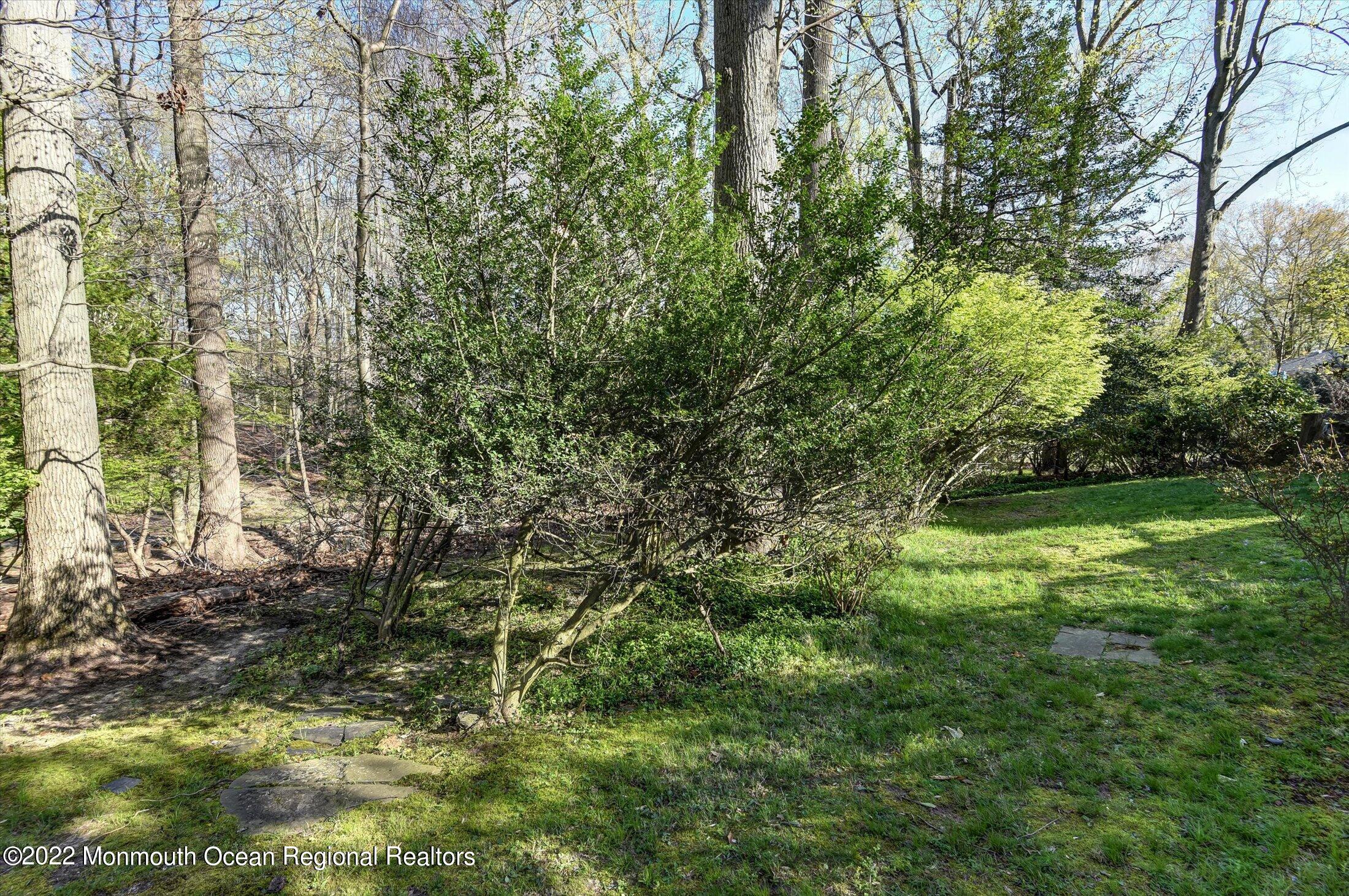 50 Heron Road Middletown, NJ 07748 - Photo 30 of 35 30-Backyard