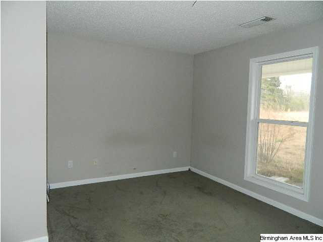 10370 Sipsey Valley Road Buhl, AL 35446 - Photo 4 of 17