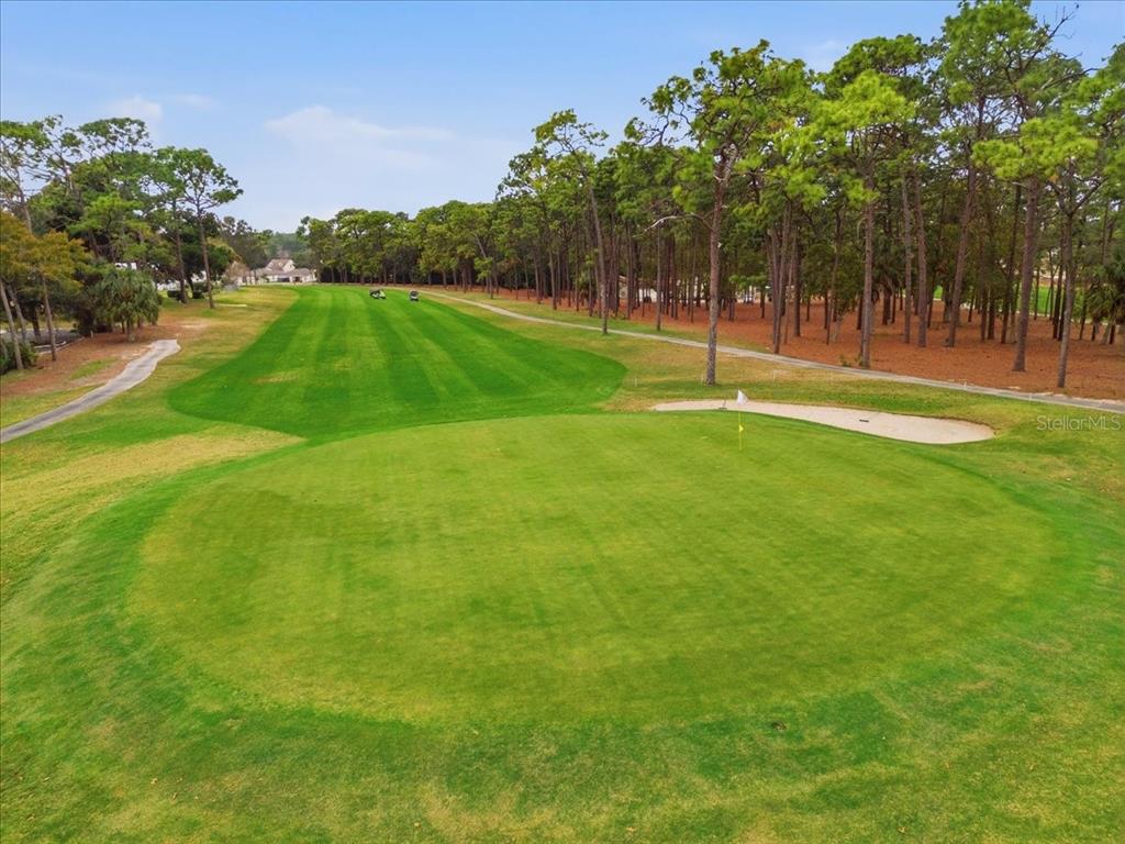 9128 Scepter Avenue Brooksville, FL 34613 - Photo 34 of 44 a view of a park with a tree in the background