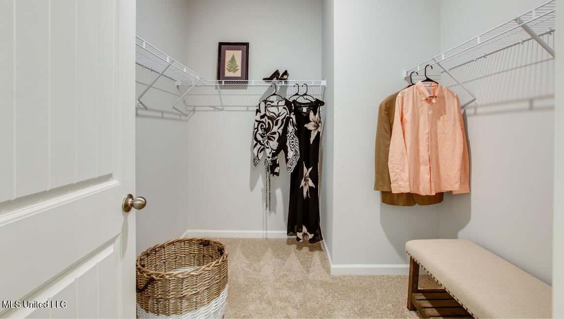 2213 Hyacinth Lane Hernando, MS 38632 - Photo 12 of 22 Salem Owners Closet